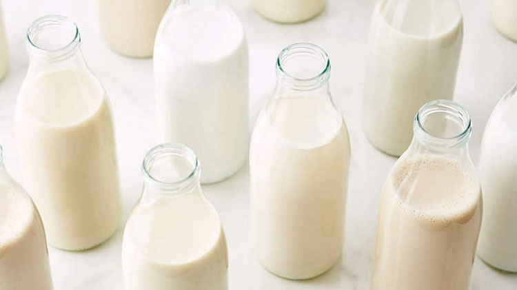Sữa mát giúp tăng lợi khuẩn