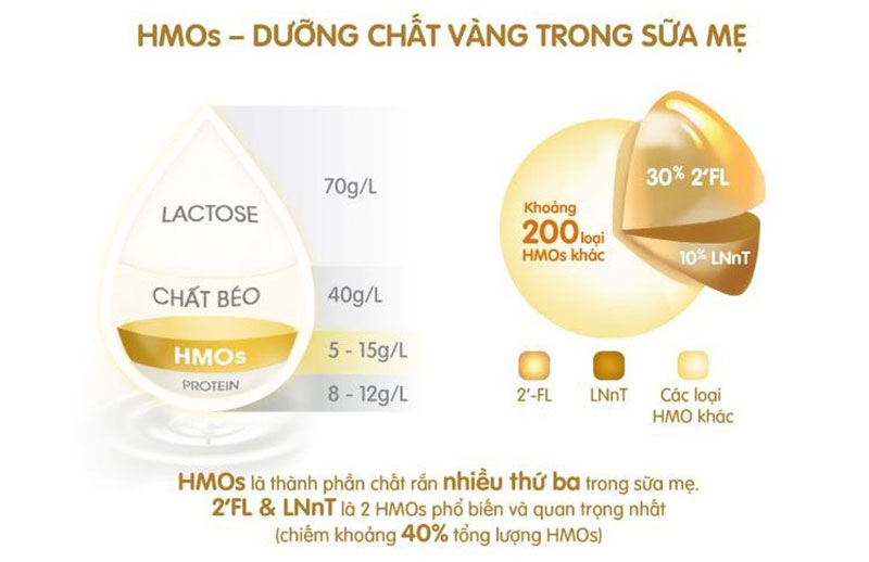 Vinlac Gold với HMO hỗ trợ hệ tiêu hoá khoẻ mạnh